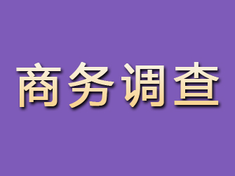 舟山商务调查